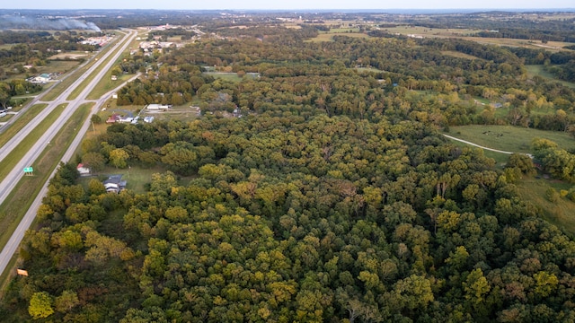 drone / aerial view