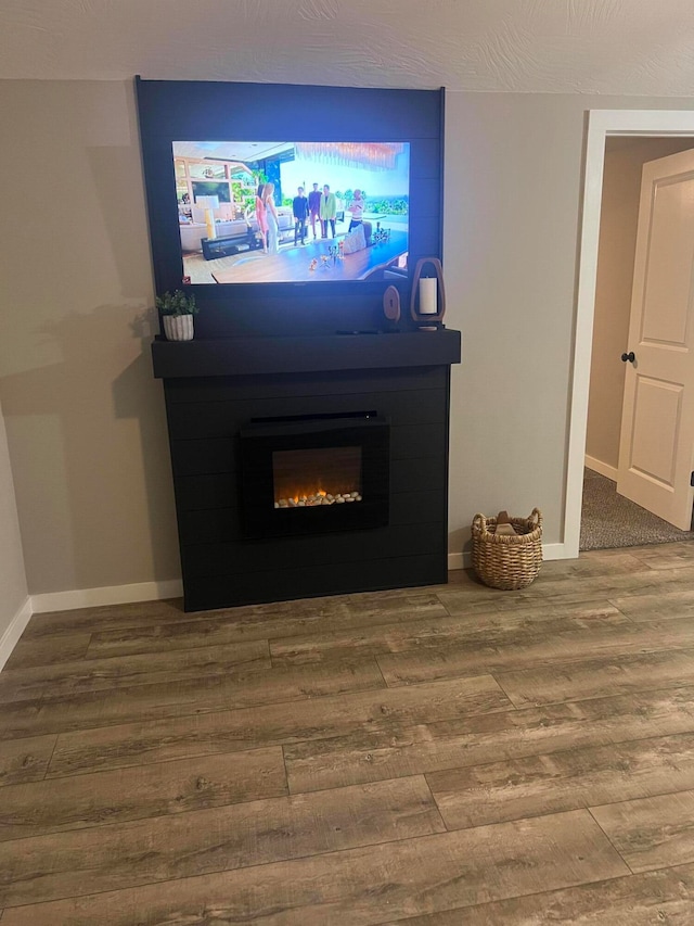 room details featuring a fireplace and wood-type flooring