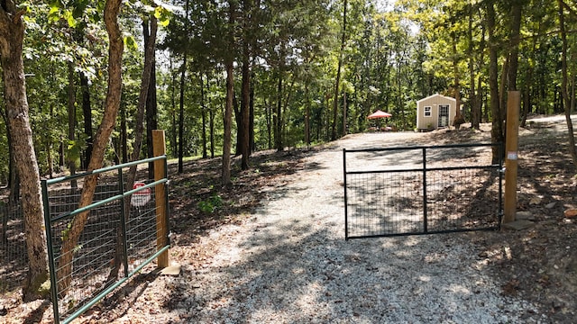 view of yard featuring a shed