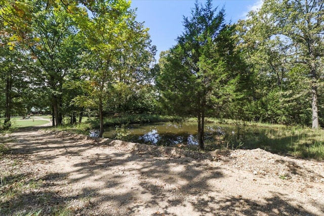 view of landscape featuring a water view