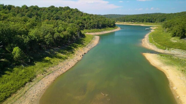 bird's eye view with a forest view and a water view