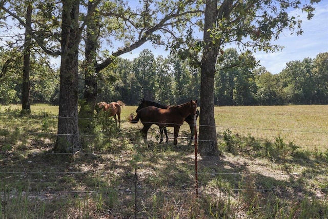 view of local wilderness featuring a rural view