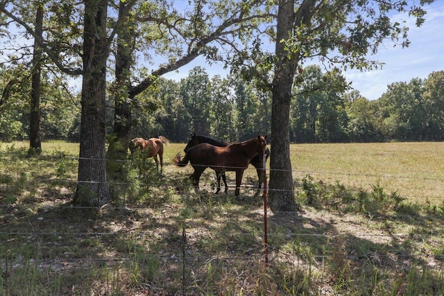 view of nature with a rural view
