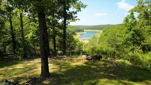 water view with a wooded view