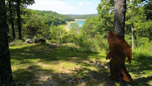 view of local wilderness featuring a view of trees and a water view