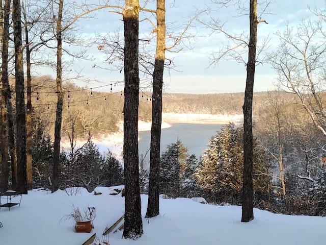 water view with a view of trees