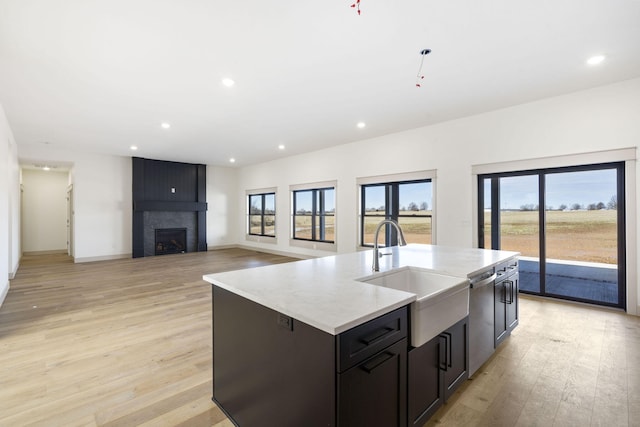 kitchen with dishwasher, a fireplace, light wood-style floors, and a sink