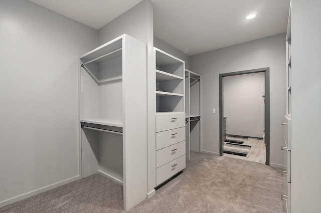 spacious closet with light carpet