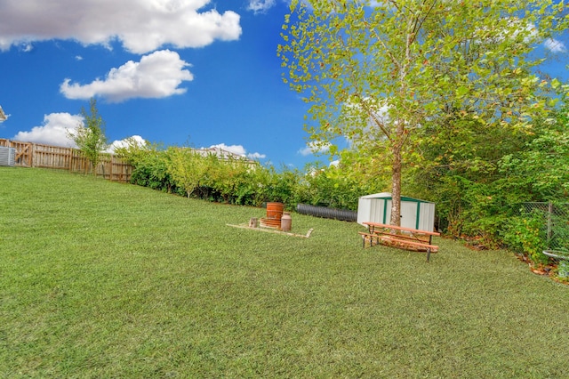 view of yard featuring a shed