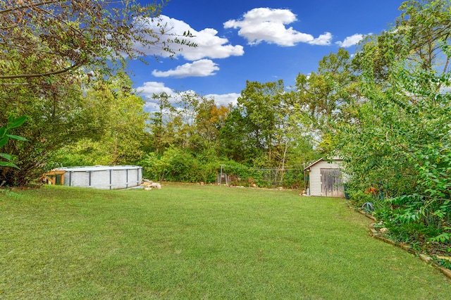 view of yard featuring a shed