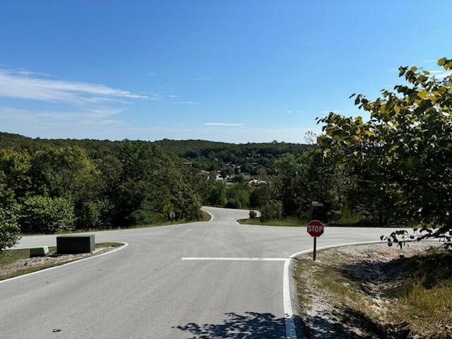 Listing photo 2 for LOT205 Black Forest Ln, Branson West MO 65737