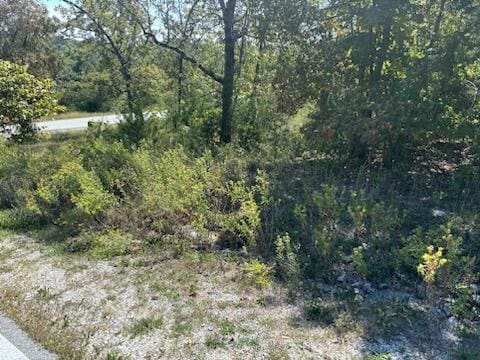 LOT205 Black Forest Ln, Branson West MO, 65737 land for sale