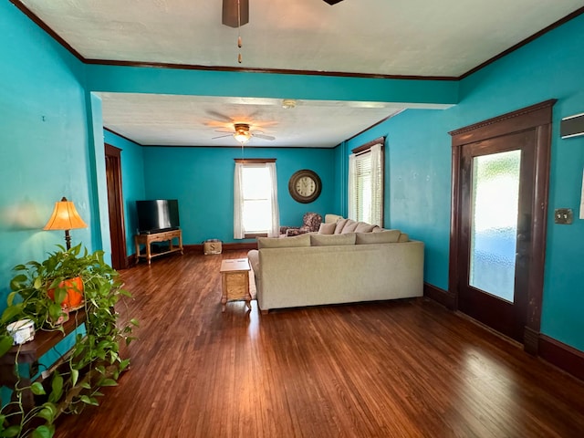 living room with dark hardwood / wood-style flooring, a wealth of natural light, and crown molding