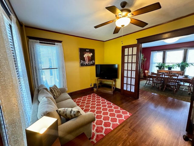 living room featuring ornamental molding, ceiling fan, and dark wood-type flooring