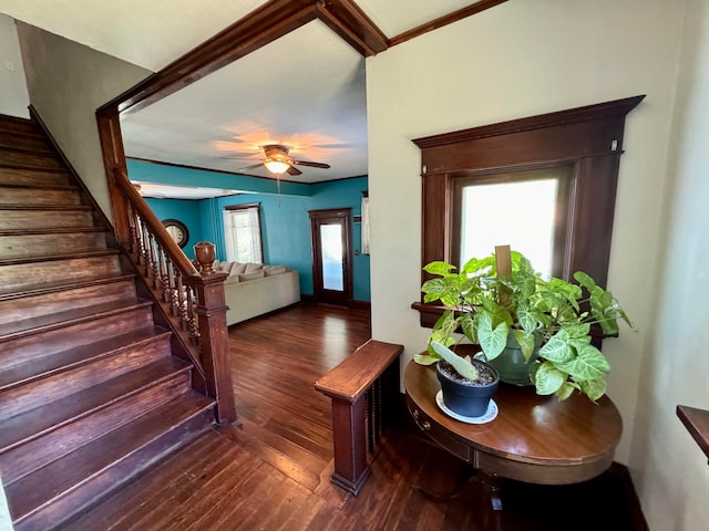 interior space with ceiling fan, wood-type flooring, and a wealth of natural light