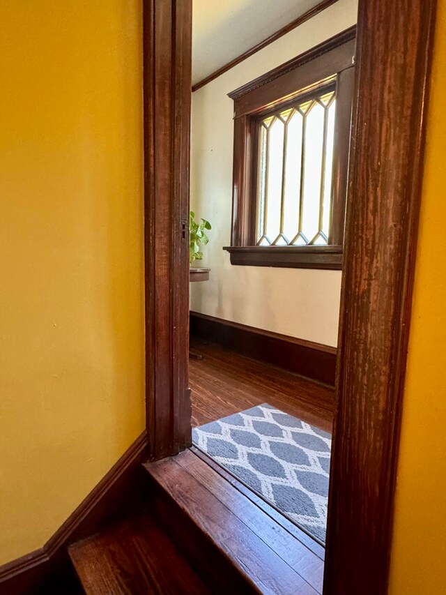 corridor featuring wood-type flooring and ornamental molding