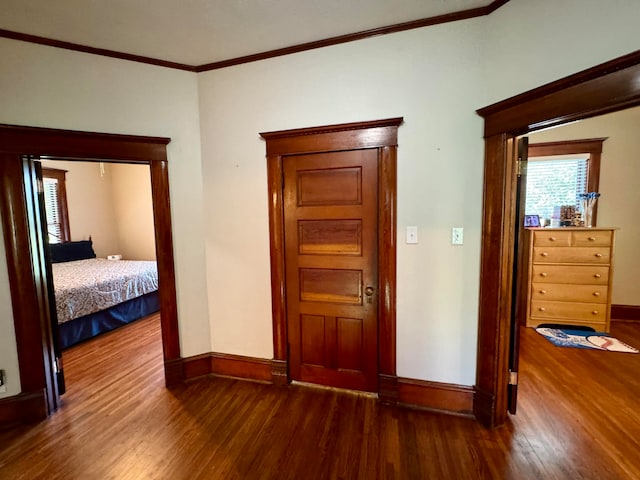 corridor featuring ornamental molding and dark wood-type flooring