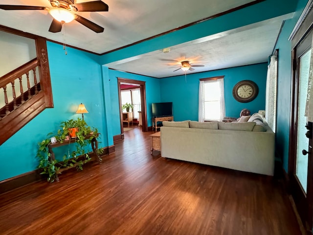 living room featuring ceiling fan and dark hardwood / wood-style flooring