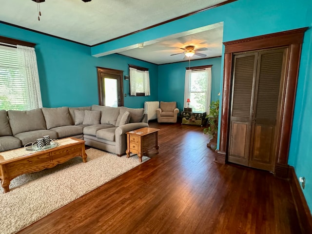 living room featuring beam ceiling, ceiling fan, dark hardwood / wood-style flooring, and radiator heating unit