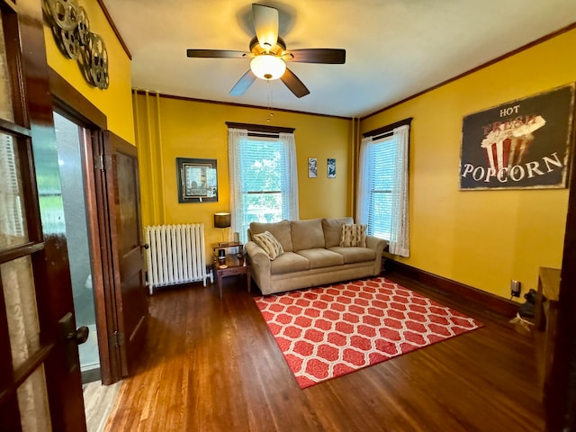 living room with hardwood / wood-style flooring, ceiling fan, ornamental molding, and radiator