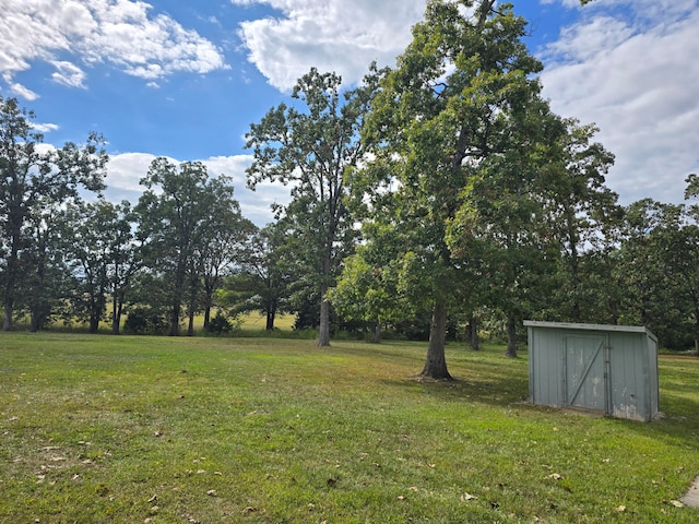 view of yard with a storage shed