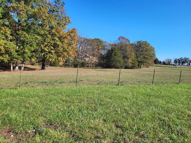 view of yard featuring a rural view