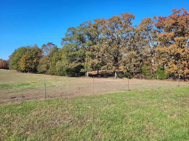 view of yard with a rural view