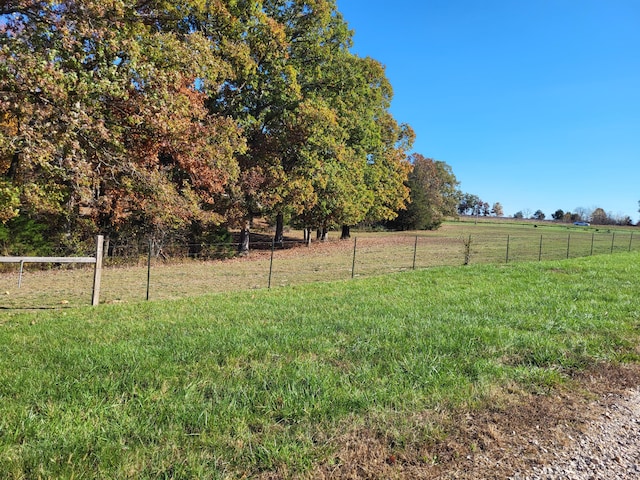 view of yard featuring a rural view