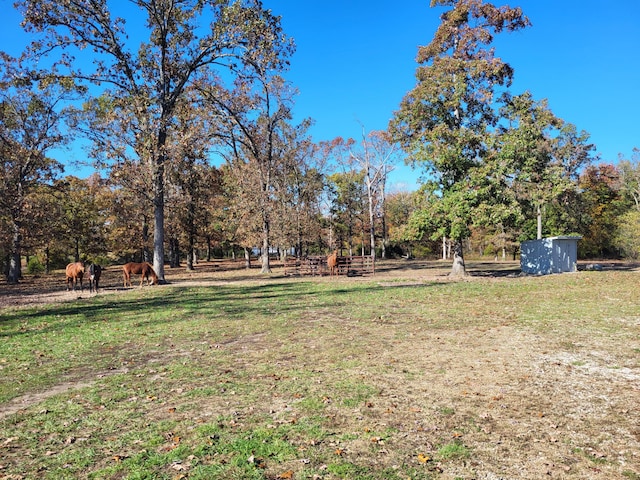 view of yard with a storage shed