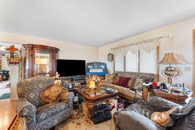 living room with light hardwood / wood-style flooring