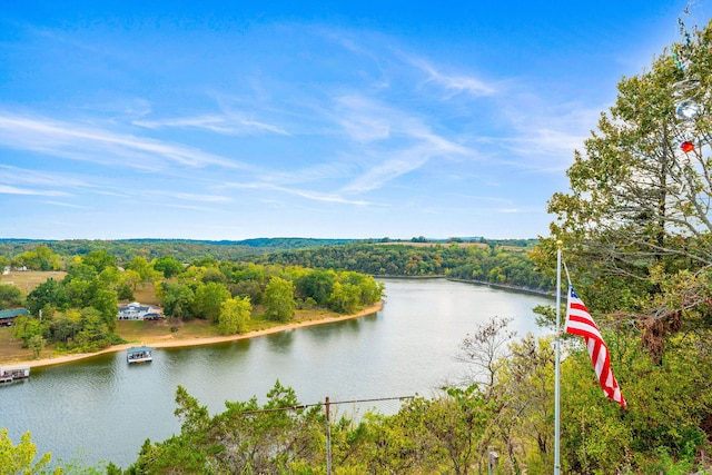 property view of water