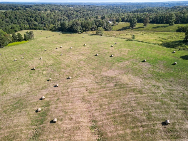 aerial view with a rural view