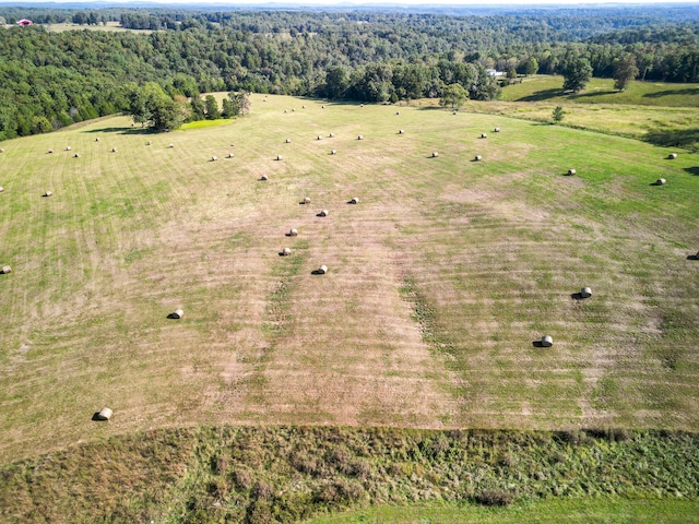 bird's eye view with a rural view