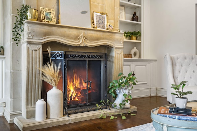 details featuring a lit fireplace, wood finished floors, and built in features