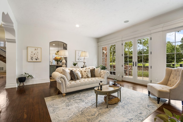 living room featuring french doors, plenty of natural light, and dark wood-type flooring