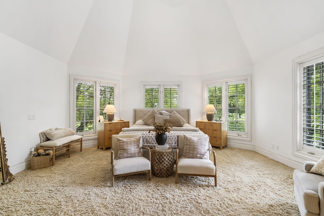 carpeted bedroom featuring high vaulted ceiling and multiple windows