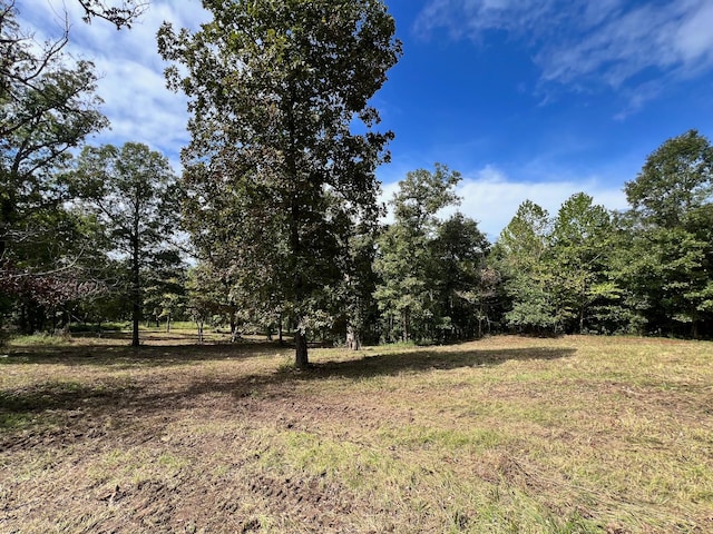 000 Rainbow Valley Trl, Mammoth Spring AR, 72554 land for sale