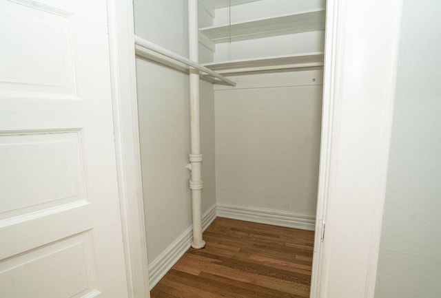 spacious closet with dark hardwood / wood-style floors