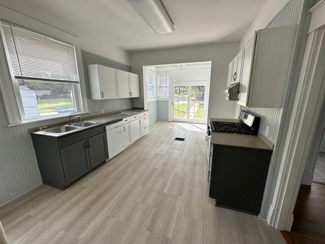 kitchen with white dishwasher, a wealth of natural light, sink, and white cabinets