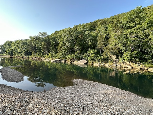 water view featuring a forest view