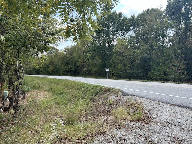 view of street with a view of trees