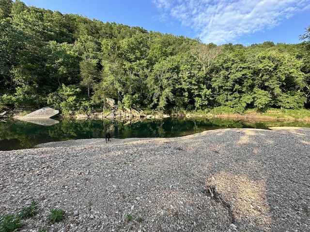 exterior space with a water view and a view of trees