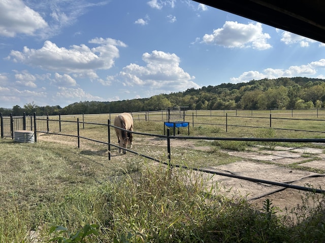 view of yard with fence and a rural view
