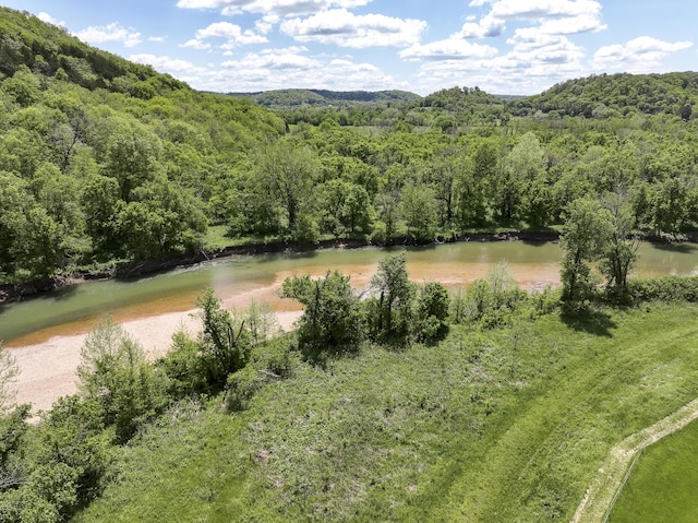 80 State Route Kk, Washburn, MO 65772 - water view with a heavily wooded area