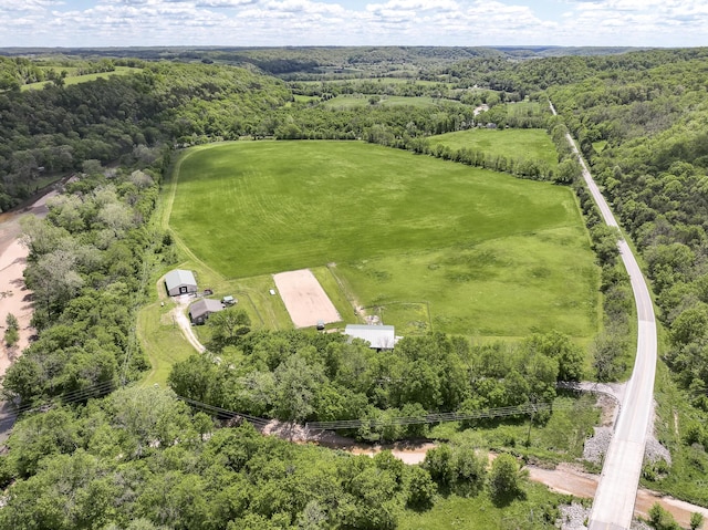 80 State Route Kk, Washburn, MO 65772 - drone / aerial view of a forest
