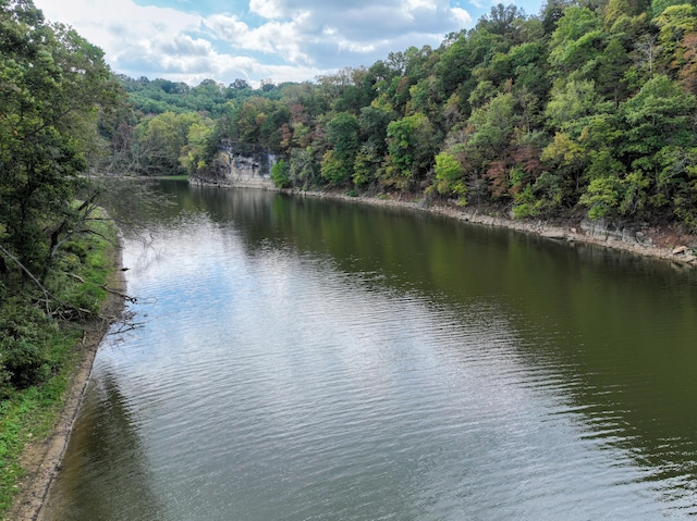 property view of water