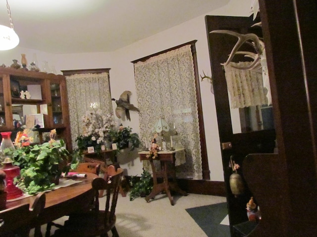dining area featuring carpet