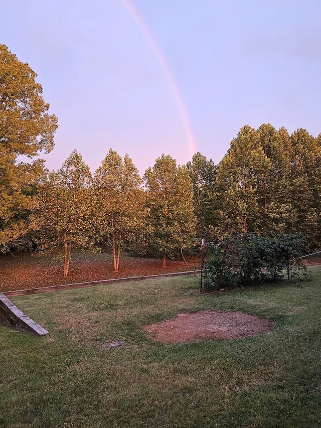 view of yard at dusk