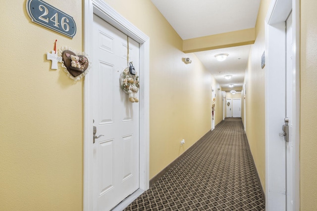 corridor with carpet floors