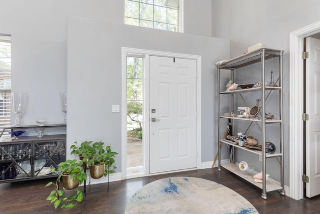 entrance foyer with dark hardwood / wood-style flooring